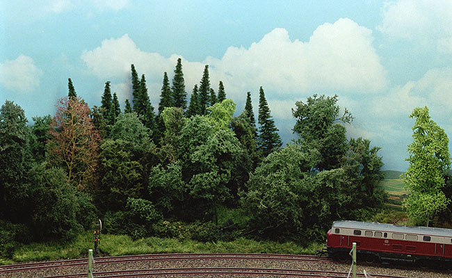 Info loofbomen maken 1 5.jpg