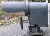 Dwergsein sa-02.jpg
