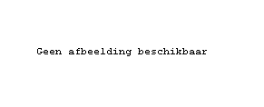 Leeg plaatje.gif