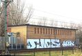 DSC 0142 12.jpg