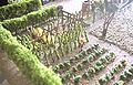PD-Moestuin-02.jpg