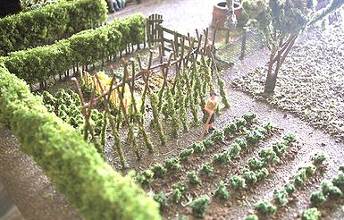 PD-Moestuin-02.jpg