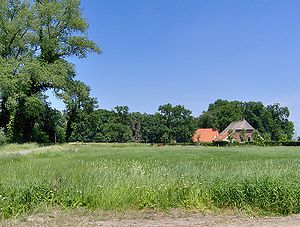 WikiPedia Woolde-01.jpg