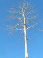 Groveden-07.png