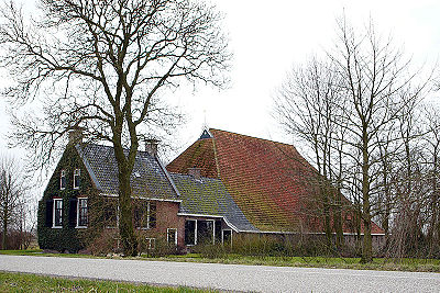 800px-Kop hals romp.jpg