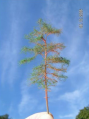 Groveden-14.png