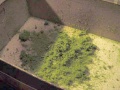 Miniatuurafbeelding voor de versie van 20 mrt 2010 om 14:16