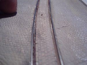 E06.10.01-07.jpg