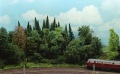 Info loofbomen maken 1 5.jpg