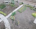 Miniatuurafbeelding voor de versie van 16 sep 2015 om 14:39