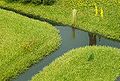 HM Water-01.jpg