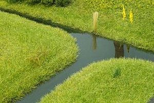 HM Water-01.jpg