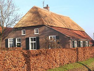 800px-Rieten dak old farmhouse.jpg