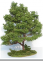 Groveden-18.png