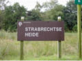 Strabrecht bord heide-04.png