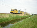 DD-AR-Hoorn01.jpg