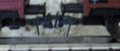 Ontkoppelaar05.gif