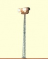 Miniatuurafbeelding voor de versie van 3 mrt 2010 om 17:28