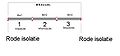 C-rails-04.jpg