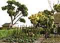 PD-Moestuin-01.jpg