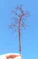 Groveden-12.png